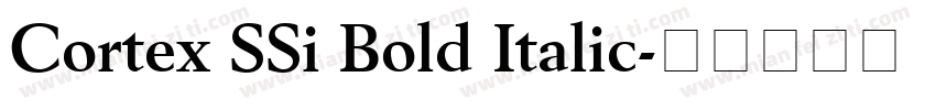 Cortex SSi Bold Italic字体转换